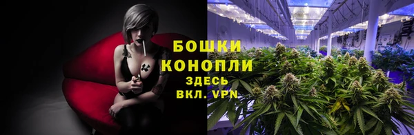 ALPHA-PVP Гусиноозёрск