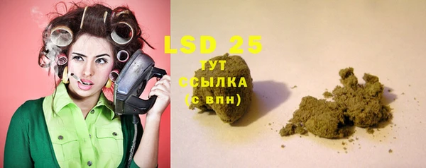 альфа пвп Гусев
