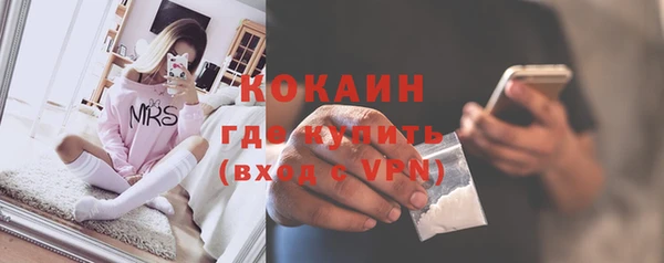 альфа пвп Гусев