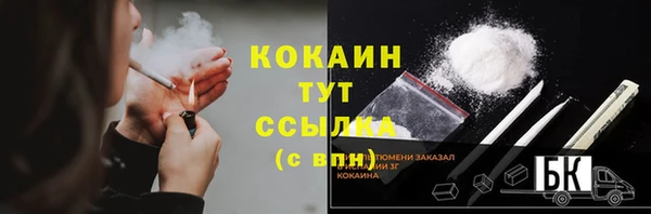 альфа пвп Гусев