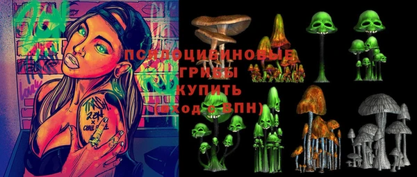 ALPHA-PVP Гусиноозёрск