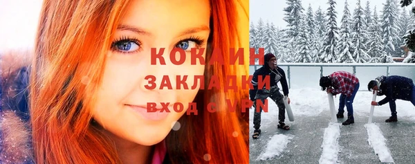 альфа пвп Гусев