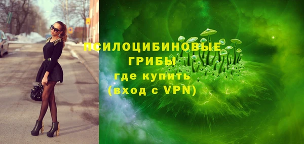 дмт Гусь-Хрустальный